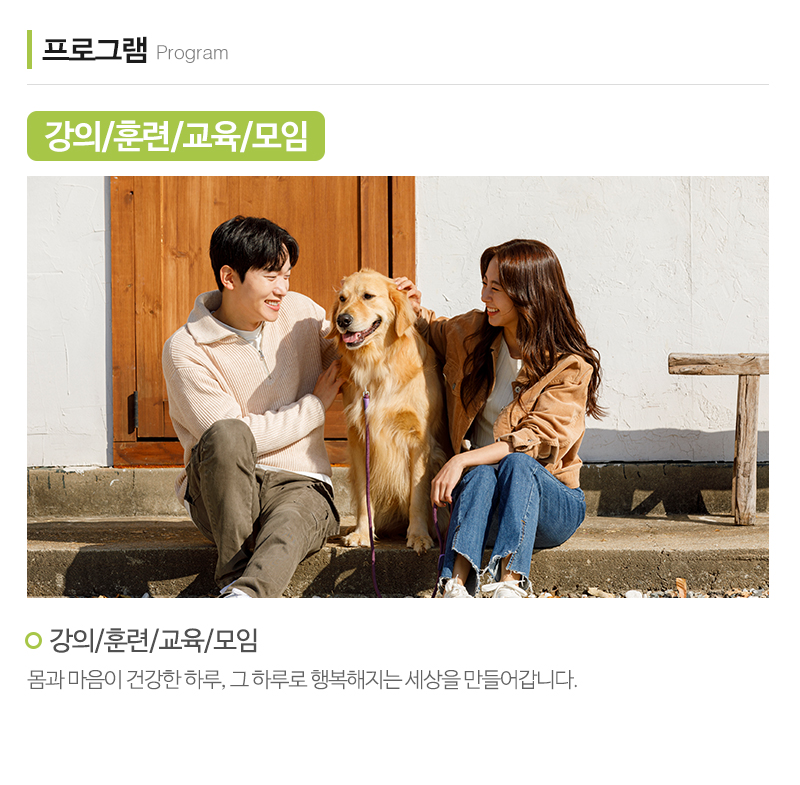 라파상담센터_내용